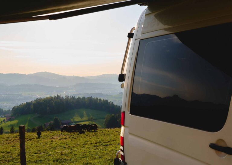 Camper-Bowie_Carrousel_0002_P1058899